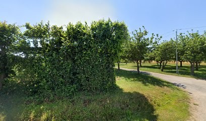 EVEN'TOP Location De Stuctures Gonflables, Loueur de Matériel de Fête à Saint-Hilaire-des-Landes